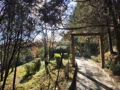 -蝴蝶泉公园