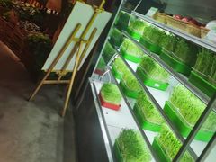 -番食园鲜食火锅(高新店)