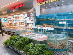 水产区-海岛渔村大酒店(云霄路店)