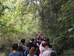 -武隆天坑地缝国家地质公园