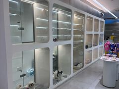 -comecome来吧宠物(奥克斯中心店)