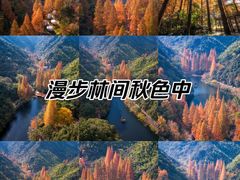 -宁海森林温泉