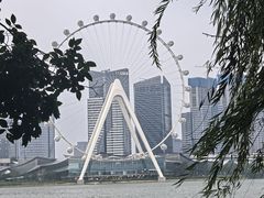 -金鸡湖桃花岛