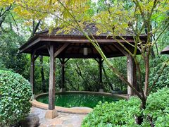 -天目湖涵田半山温泉