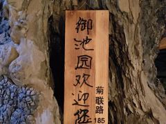 -御池园(顾村公园店)