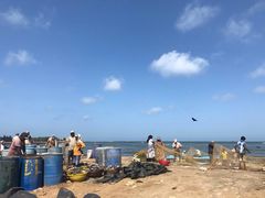 -尼甘布海鲜市场