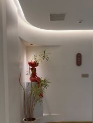 -WENDY·温迪皮肤管理