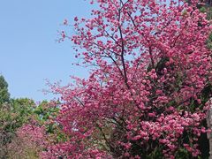 -圆通禅寺