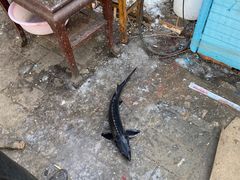 -姥家大锅台水库渔家