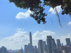 -荔枝公园-小平画像广场