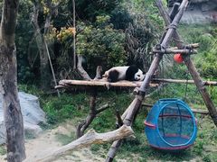 -宁波野生动物园