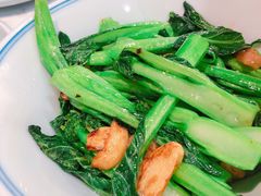 -大榕树下顺德菜(融创茂店)