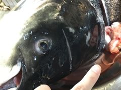 -好灶头妈妈菜·柴火灶台鱼·千岛湖土菜地标美食