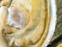 -海胆小馆(东北水饺·春柳店)