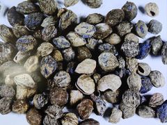 -南越王博物院(王宫展区)