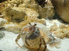 -洛阳龙门海洋馆