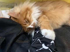 -吉派索自家烘焙咖啡馆(千佛山店)