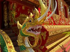 -西双版纳傣族园