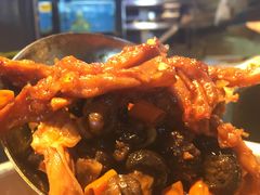 金钱菇鸭爪-徽三说·土徽菜·中国徽菜连锁品牌(一中店)