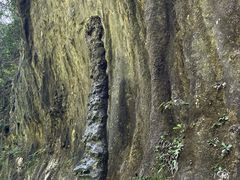 -神龙峡风景区