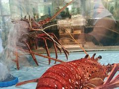 -阿伟海鲜楼·福建菜(延寿店)