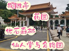 -深圳仙湖植物园