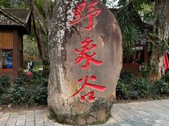 -野象谷景区