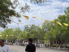 -大槐树寻根祭祖园