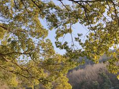 -白马涧龙池景区