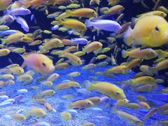 -成都浩海立方海洋公园