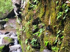 -藏龙百瀑风景区