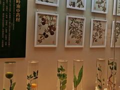 -广东中医药博物馆