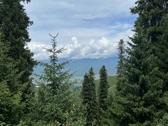 -新疆那拉提国家旅游度假区