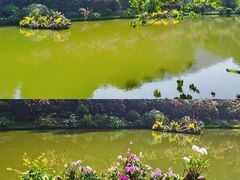 -深圳仙湖植物园