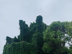 -上海月湖雕塑公园