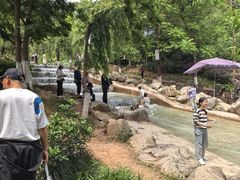 -五凤溪古镇
