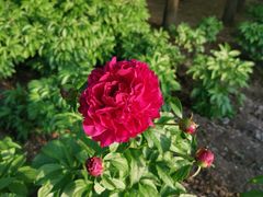 -长春公园(普阳街道)