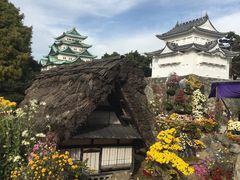 -名古屋城