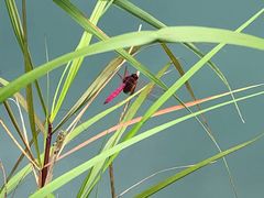 -楠溪江风景名胜区