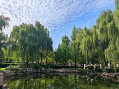 -唐城墙遗址公园