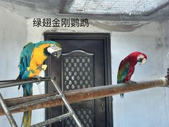 -青藏高原野生动物园
