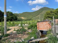 -树山生态村