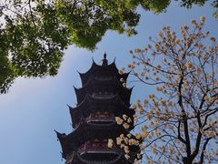-龙华寺