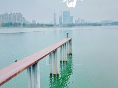 -金银湖国家城市湿地公园