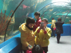 android_upload_pic-洛阳龙门海洋馆