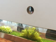 -喜茶(永旺梦乐城店)