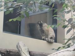 -青藏高原野生动物园