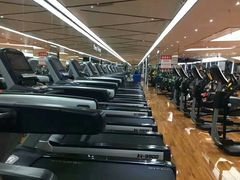 -奥林匹克体育中心游泳馆