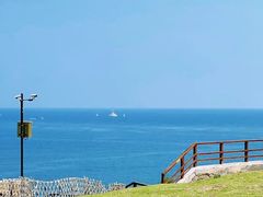 -小麦岛公园