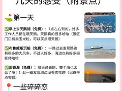 -日照灯塔风景区